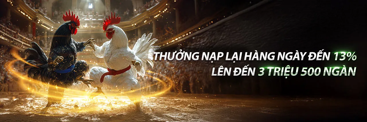Sân đấu đá gà trực tuyến PKWIN sôi động